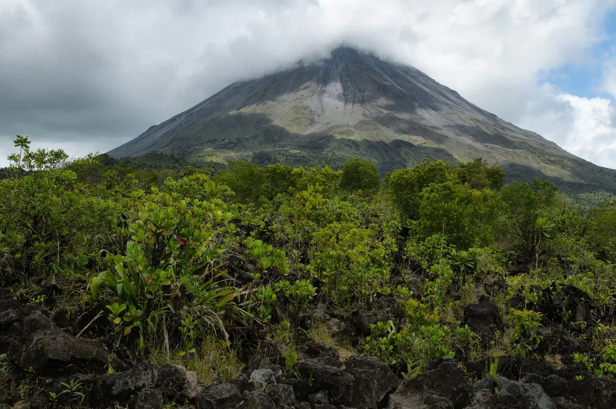 Dark 1968 lava flow field on the slopes of Arenal volcano crossed by the volcano hike tour