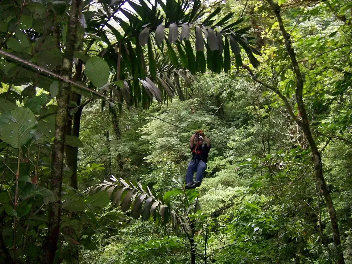 Rider on a zip line crossing the rainforest canopy on the La Fortuna zip line and hot springs combo